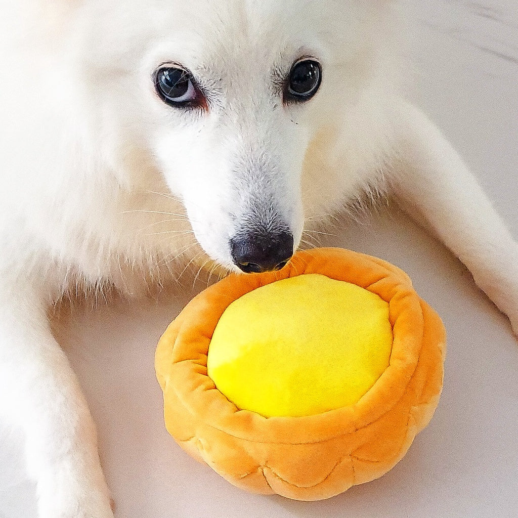 Furball Egg Tart Squeakie Chew Toy (Premium)