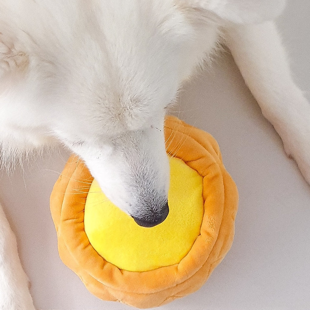 Furball Egg Tart Squeakie Chew Toy (Premium)