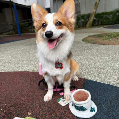 Waggle Kopi Cup Squeakie Chew Toy