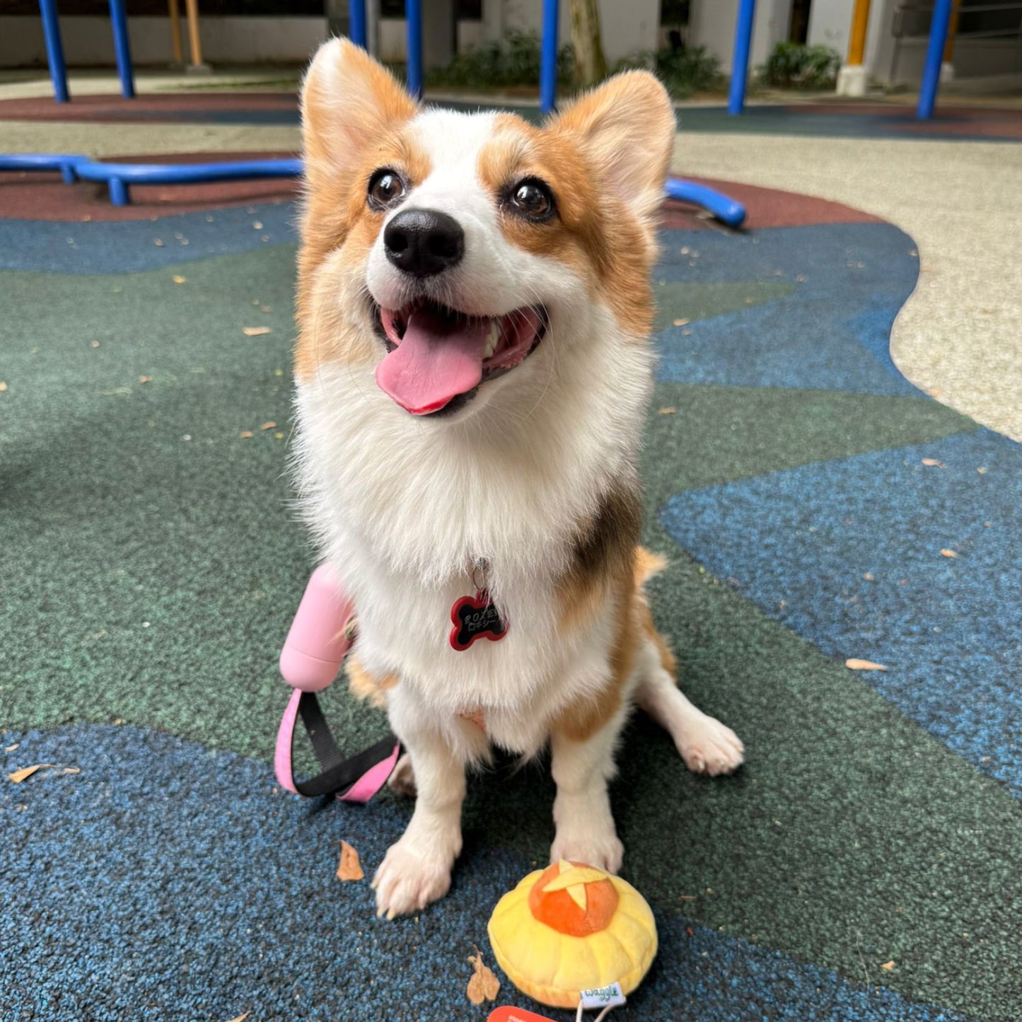 Waggle Pineapple Tart Squeakie Chew Toy