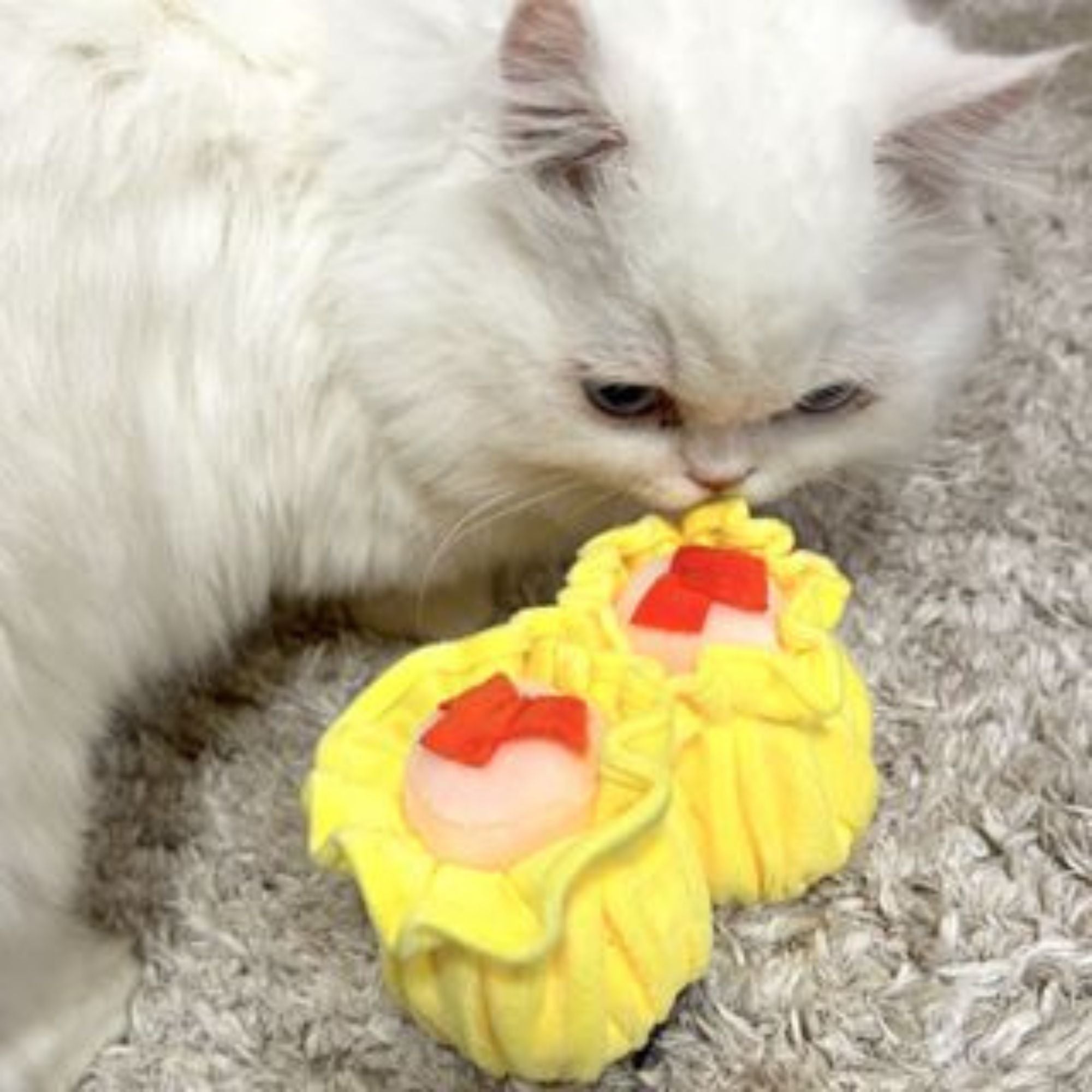 Waggle Siew Mai Squeakie Chew Toy