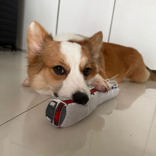 Waggle Train Chew Toy