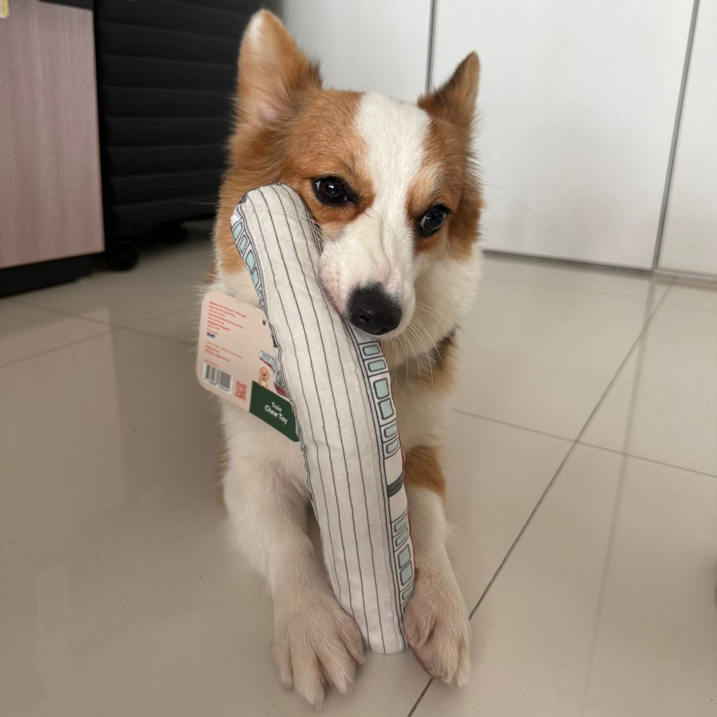 Waggle Train Chew Toy