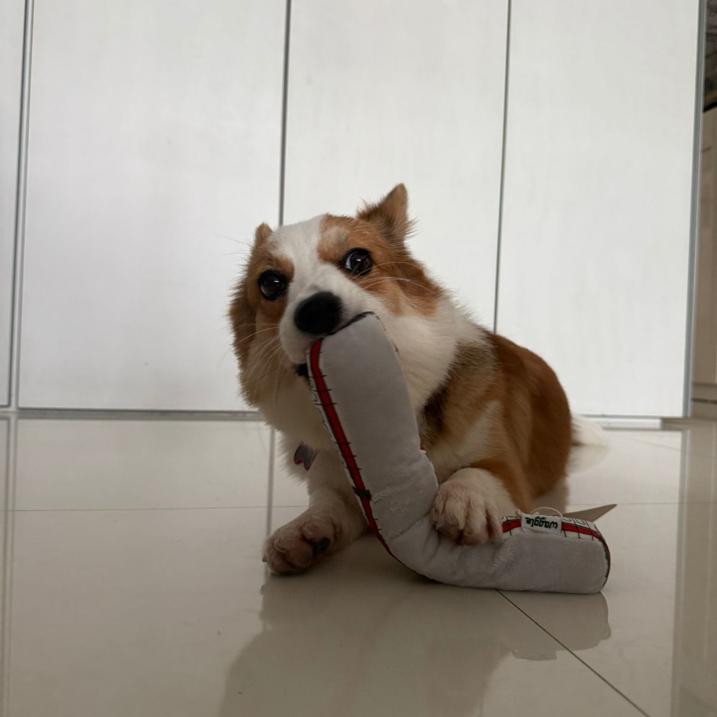 Waggle Train Chew Toy