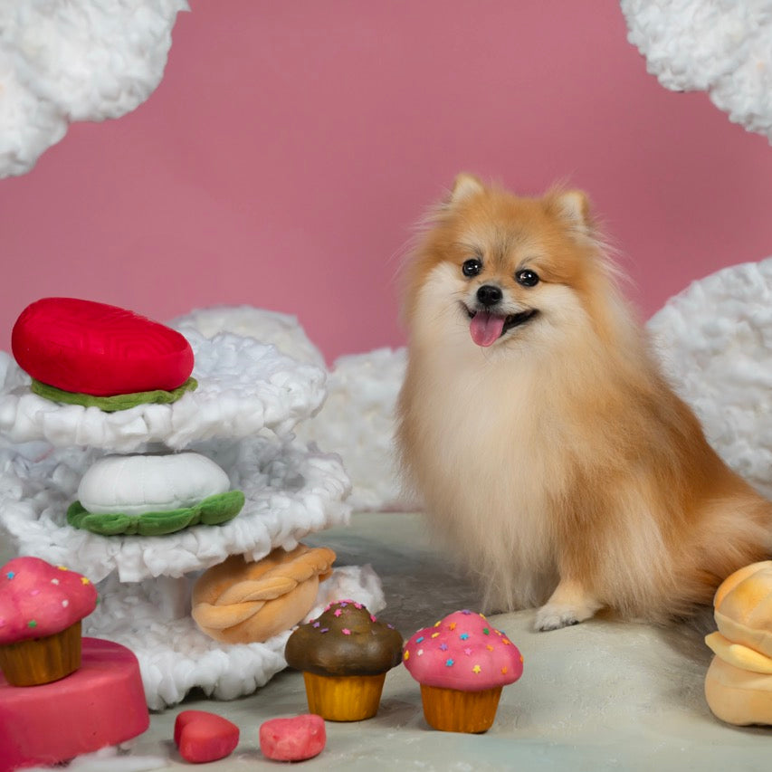 Waggle Ang Ku Kueh Squeakie Chew Toy